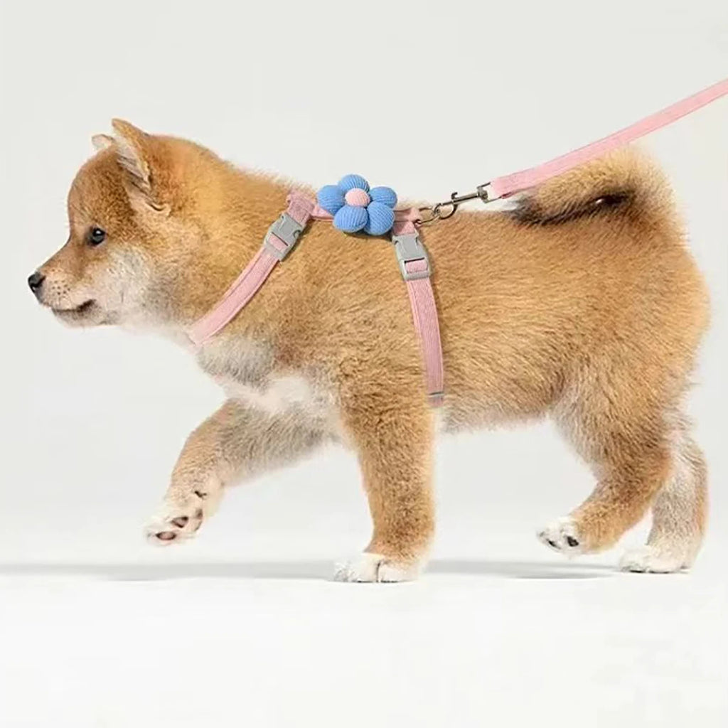 CloudFit