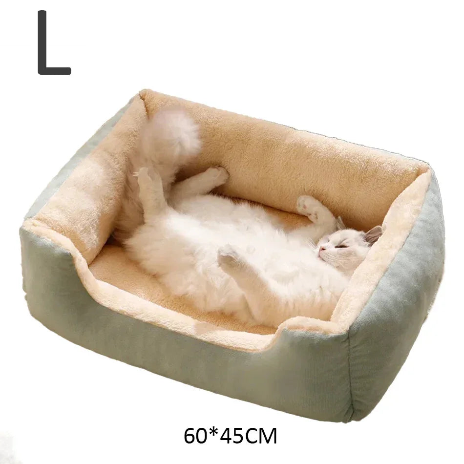 CloudNest