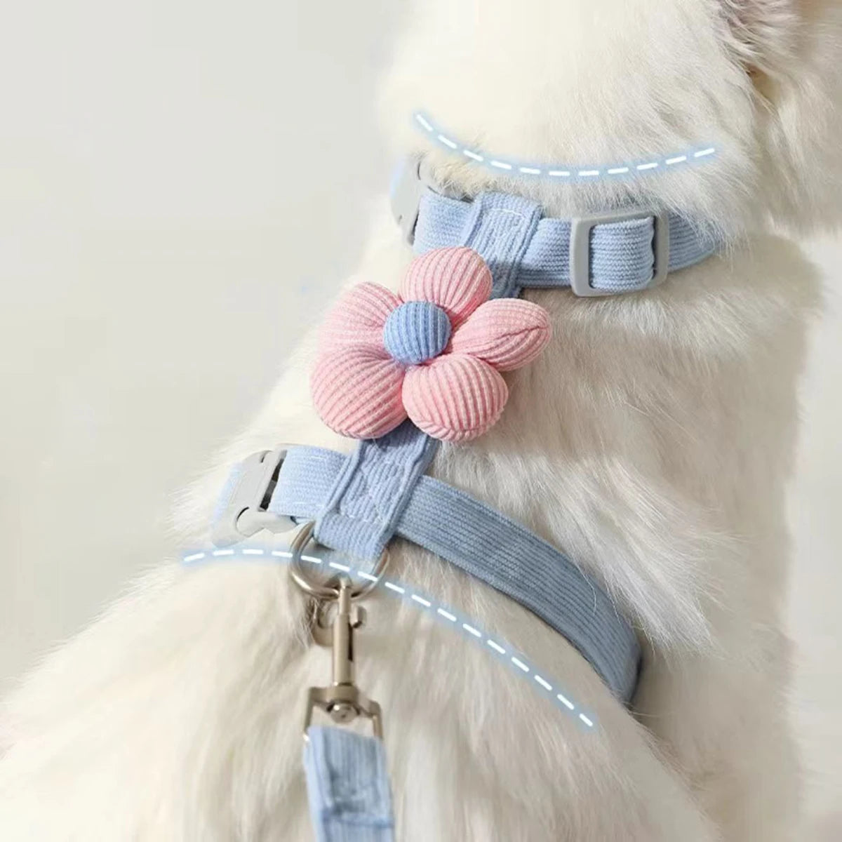 CloudFit