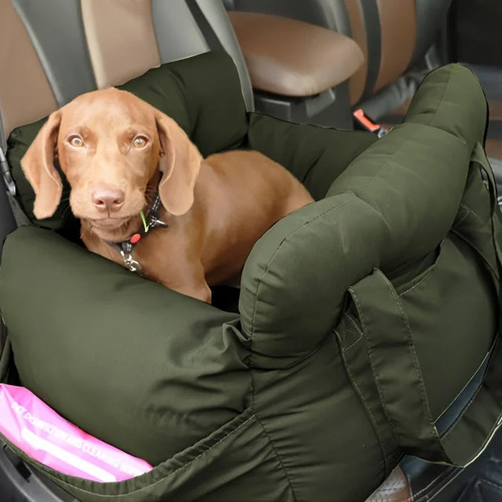 CozyRide