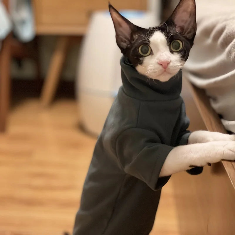 PurrWrap