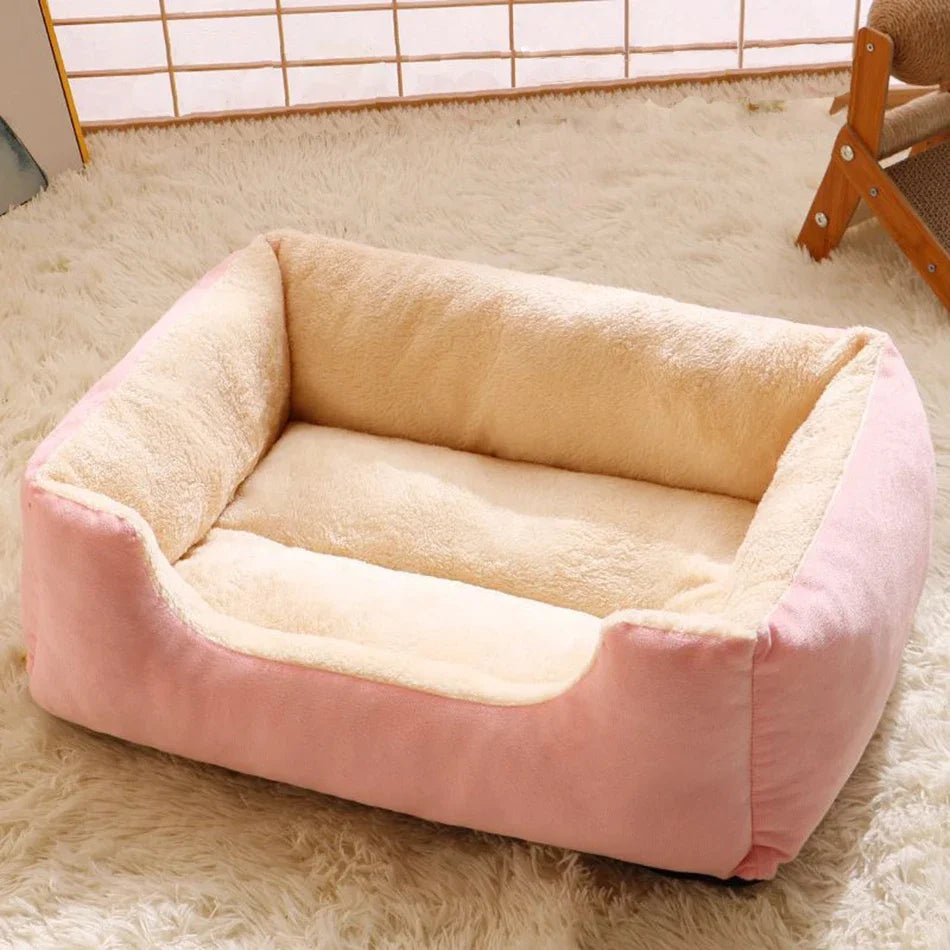 CloudNest