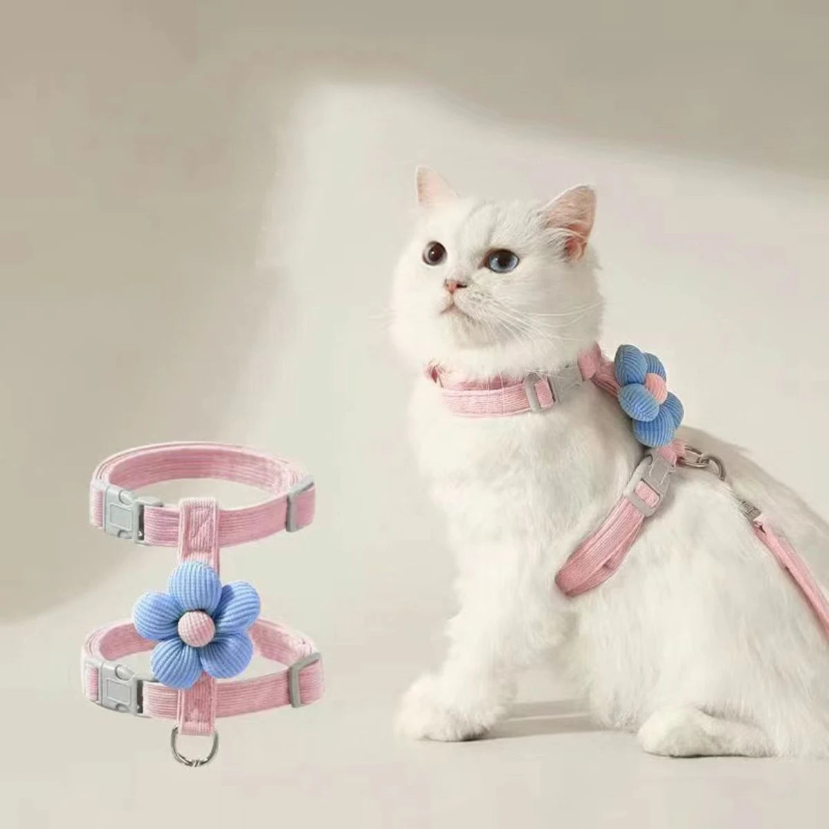 CloudFit