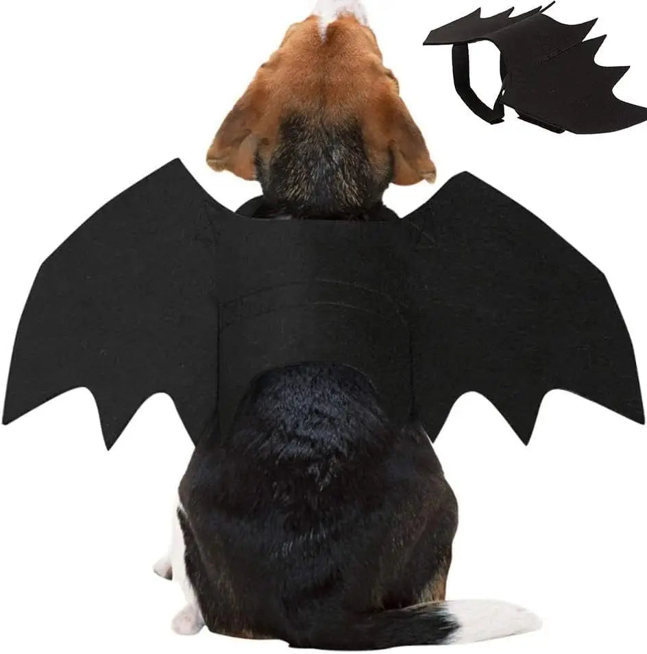 NightWing Pet