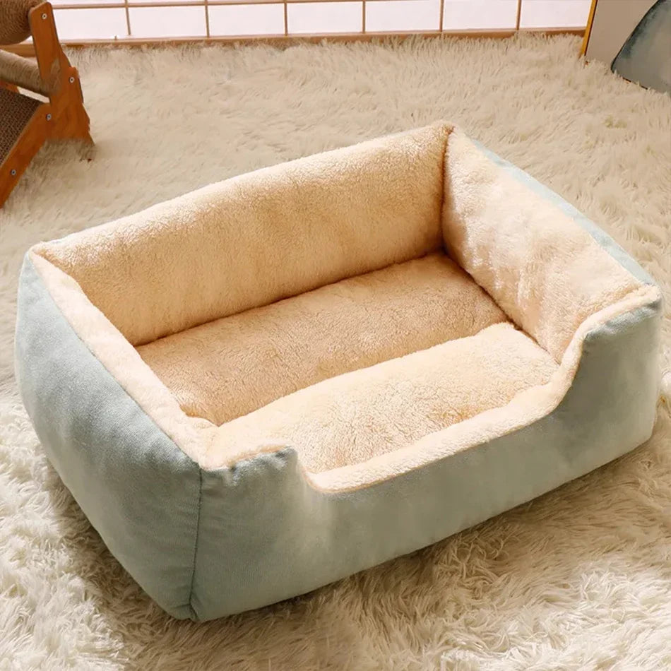 CloudNest