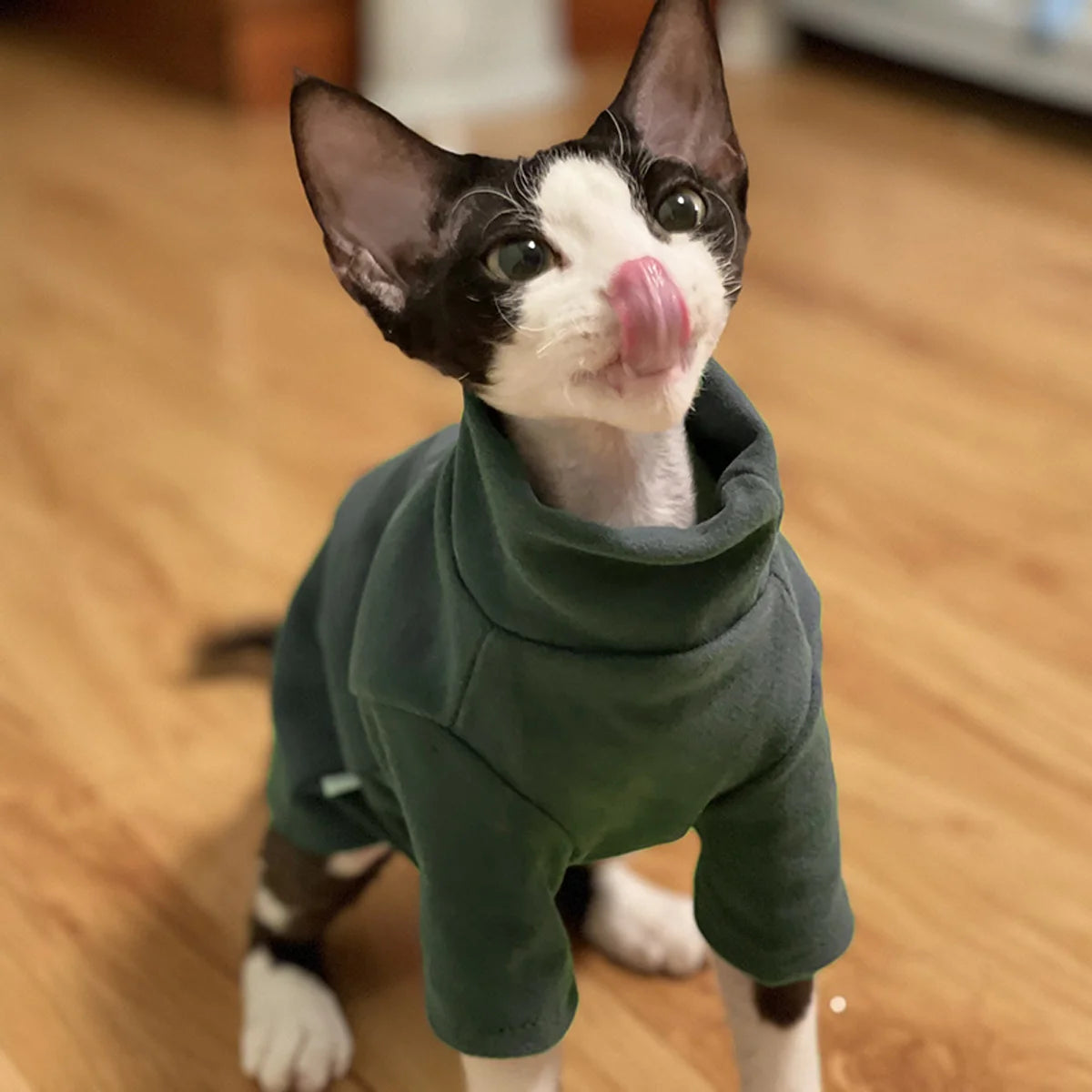 PurrWrap