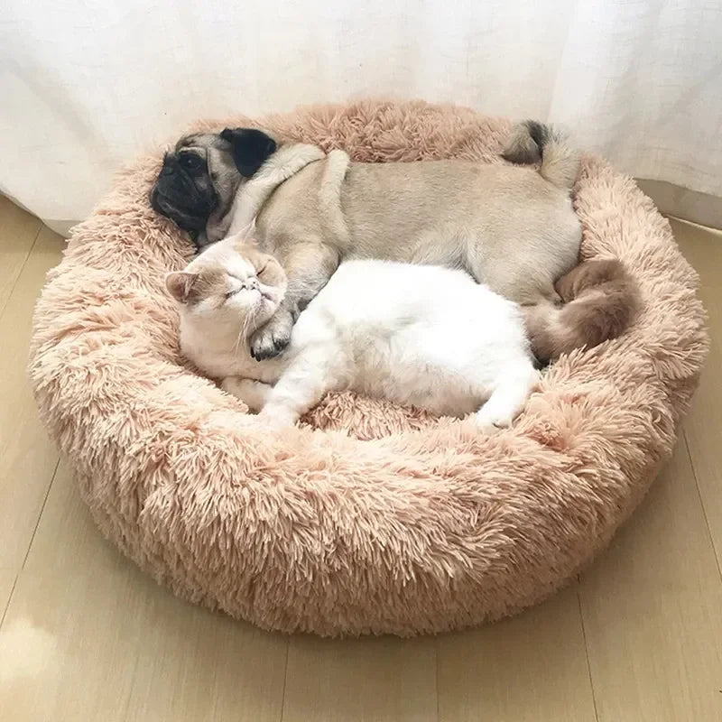 SnuggleCloud